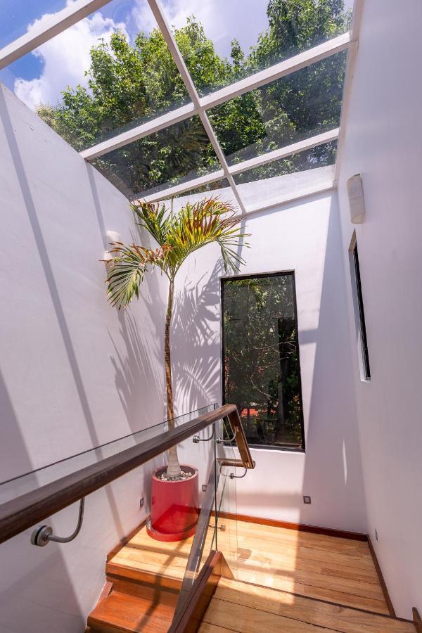 Casa Blanca In Coyoacan Mexico City Exteriör bild